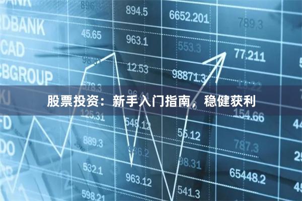 股票投资：新手入门指南，稳健获利
