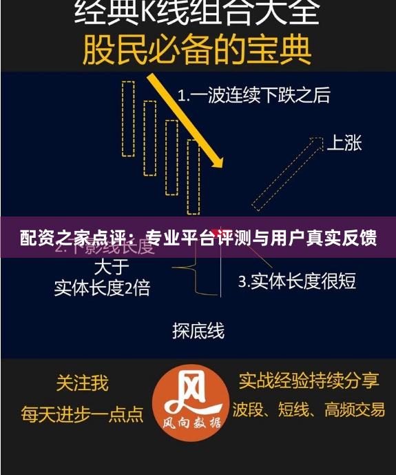 配资之家点评：专业平台评测与用户真实反馈